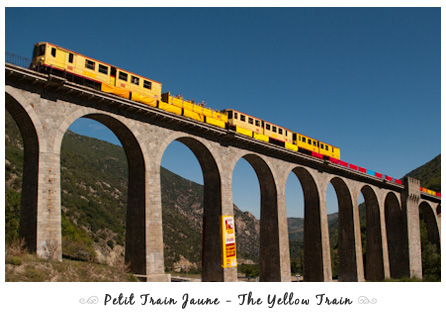 Petit Train Jaune - The Yellow Train