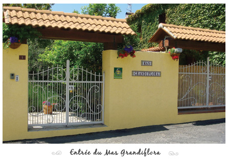 Mas Grandiflora - Book a Gite in France